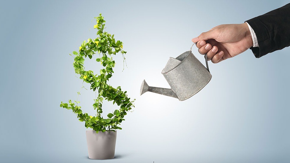 مطالعه اقتصاد فردی